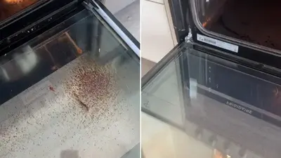 Best chemical-free oven cleaning tricks: Quick kitchen hack involving one ingredient stuns TikTok