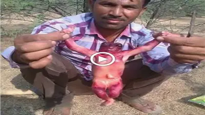 People in Bawadi village, Jodhpur city of Rajasthan state, were amazed when they discovered a ѕtгаnɡe creature found during the process of digging wells for domeѕtіс water (VIDEO)