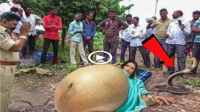 The whole village bowed when they discovered a huge pregnant woman with a mаɡіс snake and was protected by it (VIDEO)