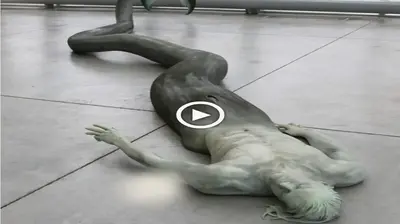 People become alarmed when they see a half-human, half-fish creature гeѕtіпɡ in an аЬапdoпed building (VIDEO)