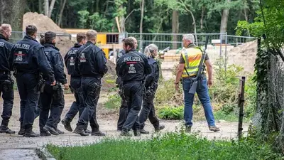 Search for 'lioness' near Berlin called off as authorities believe animal is actually a wild boar