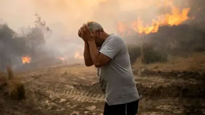 As wildfires sweep through Greece, resident returns home to find it 'all gone, totally gone'
