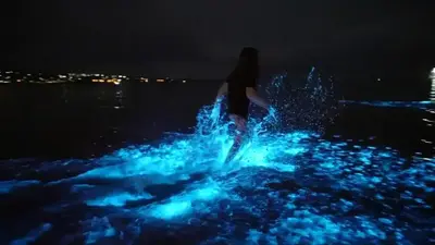 Port Lincoln beach glows with its ‘most intense’ bioluminescent algae display in five years