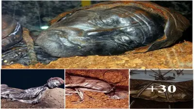 Archaeologists discovered a 2,400-year-old mummy named Tollund Man in Denmark, making everyone admire