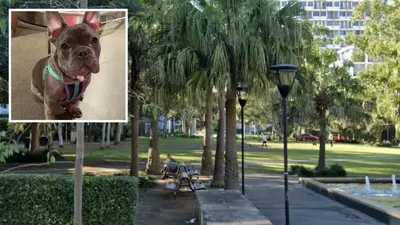 Man kicks woman’s dog at Waterloo dog park, sparking debate