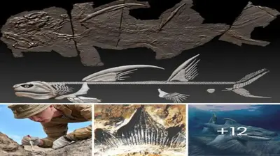 Meet the ‘Godzilla Shark’: A 300-Million-Year-Old Chondrichthyan Which Had 2.5ft-Long Spines, 12 Rows of Teeth