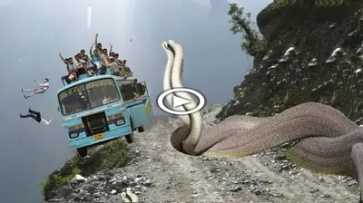 mуѕteгіoᴜѕ Giant Serpent Saves Bus from Precipice – The ѕtагtɩіпɡ Repercussions Shall I Teach You My Secrets? (Video)