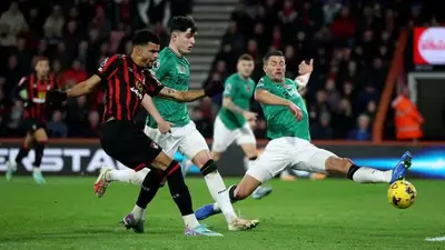 Bournemouth 2-0 Newcastle: Player ratings as Solanke double sees off Magpies