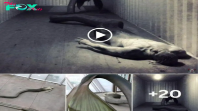 OMG! Discover terrify creature that is half human and half fish tail makes anyone see it
