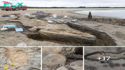 Legend of Paleontology: Monumental 32-Foot Ichthyosaur Discovery at Midlands Reservoir Marks a Milestone in The World Fossil History