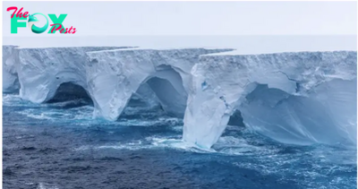 Erosion sculpts spectacular caves, arches in largest iceberg