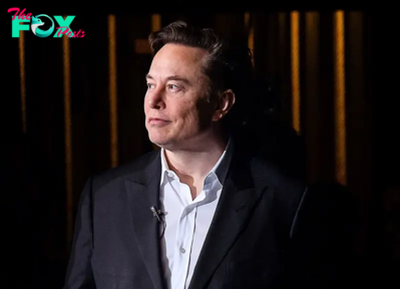 Elon Musk says his AI startup xAI not raising capital