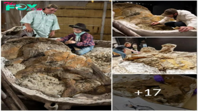 Time Capsule Unveiled: Scientists Probe 65 Million-Year-Old Triceratops Fossil for Answers