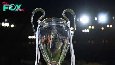 Champions League prize money 2023-24: how much will the UCL winner receive?