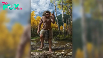 New human species 'Dragon man' may be our closest relative