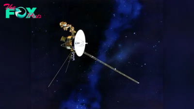 NASA's Voyager 1 probe hasn't 'spoken' in 3 months and needs a 'miracle' to save it