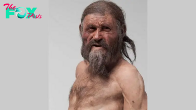 40 amazing facial reconstructions, from Stone Age shamans to King Tut