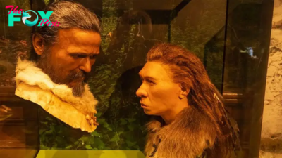 'Simply did not work': Mating between Neanderthals and modern humans may have been a product of failed alliances, says archaeologist Ludovic Slimak