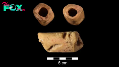 13,000-year-old bone bead is the oldest of its kind in the Americas