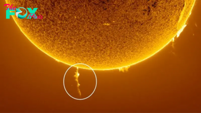 'A wonderful spectacle': Photographer snaps rare solar eruption as 'magnetic noose' strangles the sun's south pole