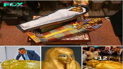 Ancient solid gold coffin dating back 2,100 years from the 1st century BC was shipped from the US and returned to Egypt