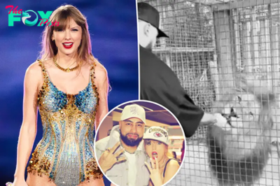 Hear Taylor Swift sweetly encourage Travis Kelce’s pal Ross to feed a lion in Sydney
