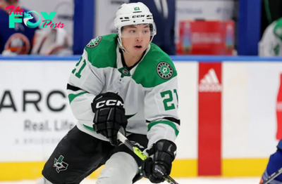 Islanders vs Stars Picks, Predictions & Odds Tonight - NHL