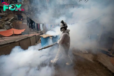 Peru Declares Health Emergency in Most Provinces as Dengue Cases Soar
