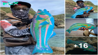 This Vividly Colored Fish Resembles a Creature from ‘Avatar’