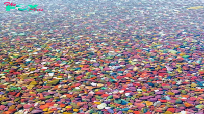 The Multicolored Rocks of Lake McDonald, Lake McDonald, located in Montana’s Glacier National Park, is home to one of the most stunning natural phenomena on