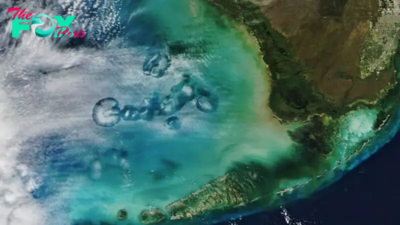 Satellite snaps eerily circular holes in the clouds above Florida. What caused them?