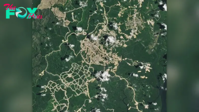Striking new satellite images show Indonesia's new jungle capital taking shape