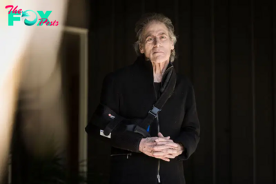 Richard Lewis Mourned by Curb Castmates, Fans, Friends, and Peers in Moving Tributes