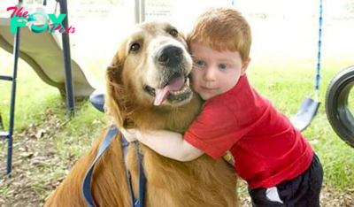2S.Guardian Hero: Heartwarming Friendship as Hero Dog Saves Girl in Accident, A Touching and Grateful Tale.2S