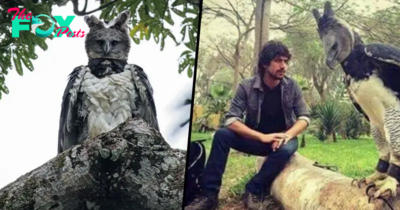 h. “Encounter with the World’s Largest and Most Mysterious Bird Leaves Man Astonished”