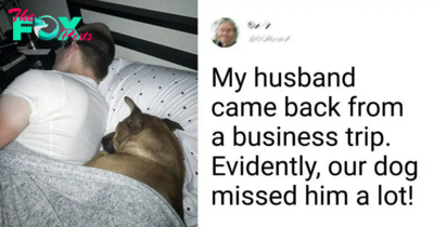 15 Wholesome Stories Of Unconditional Harmony Between People And Their Pets