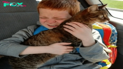 Autistic Boy is Brought to Tears by Reunion With His Cat, Austen had a forever best friend – his cat whose name is Autumn