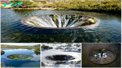 Portugal’s Enigmatic Water Hole: A Gateway to Another Dimension