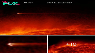 Enigmatic Skies: Boomerang-Shaped Object, 5,500km Wide, Spotted Near Sun on Nov 27, 2023, Caught on Astonishing Video