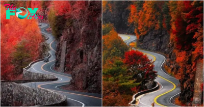 The Breathtaking Journey Along Hawk’s Nest Highway, New York, Tucked away in the rugged terrain of upstate New York lies a hidden gem, a picturesque stretch of road that’s more than just asphalt and concrete