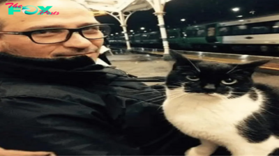Cat Comes to Train Station Every Day To Greet Travelers, South London to greet passengers and give them cuddles while they are awaiting their train