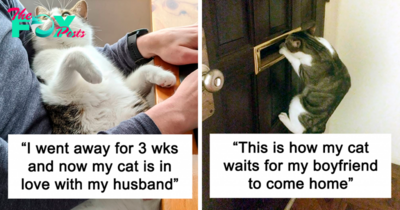 50 “Shameless” Pets That Stole Their Owners’ Partners Without Any Guilt