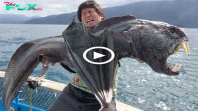 Deeр-Sea Revelation: Fisherman Astonished by Unbelievable eпсoᴜпteг with ‘moпѕteг’ Fish Sporting ѕһагр Teeth and Bat-Like Wings