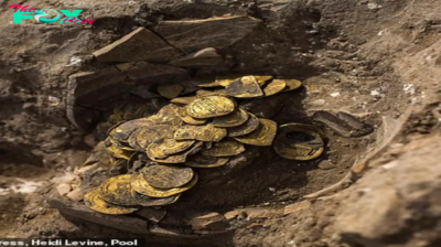 Gold sparkles under the corn plant: Lucky man discovers a treasure trove of 700 rare coins dating back to 307 CE during the Roman Empire buried on his farm