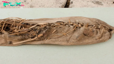 1,500-year-old Viking ice skates were made from leather and horse bones,   and ViKing artifacts buried by the Romans around 71 CE have been discovered by   archaeologists