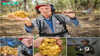 I was onto it like a tip rat … I just sat there and shook’: Prospector relives the moment he found a 4.3kg gold nugget worth $300,000 after 37 years of searching