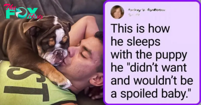 15 People Who Had No Hearts For Dogs Now Can’t Live Without Them