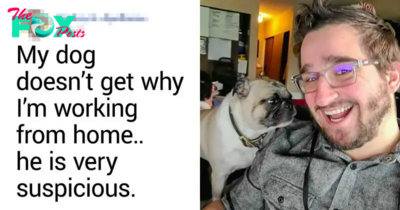 15 Pets Who Made Sure That Work From Home Is Never Boring For Their Humans