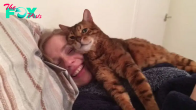 Man’s Girlfriend Gets The Purrfect Approval From His Cat Tonto (VIDEO)
