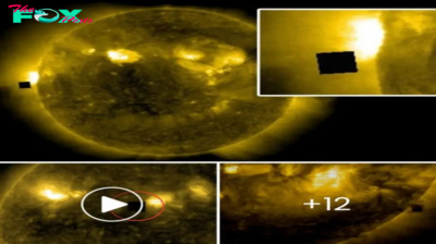 Video: Alien Hunters Probe NASA’s Alleged Cover-Up of Giant Black ‘Cube’ Near the Sun, Unveiling Cosmic Secrets